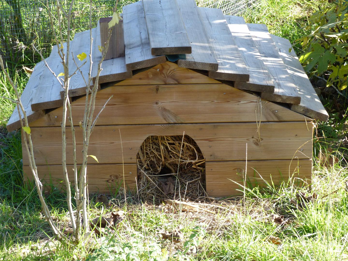 Construire Une Maison Pour Tortue De Terre | Ventana Blog